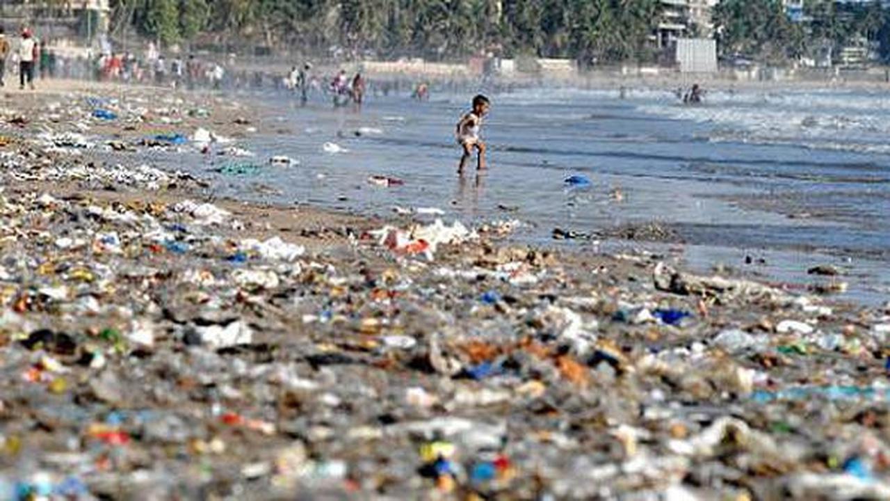 Sampah Kotori Laut Muara Baru Jakut, Pramono Ingatkan Warga Tak Buang Sampah Sembarangan
