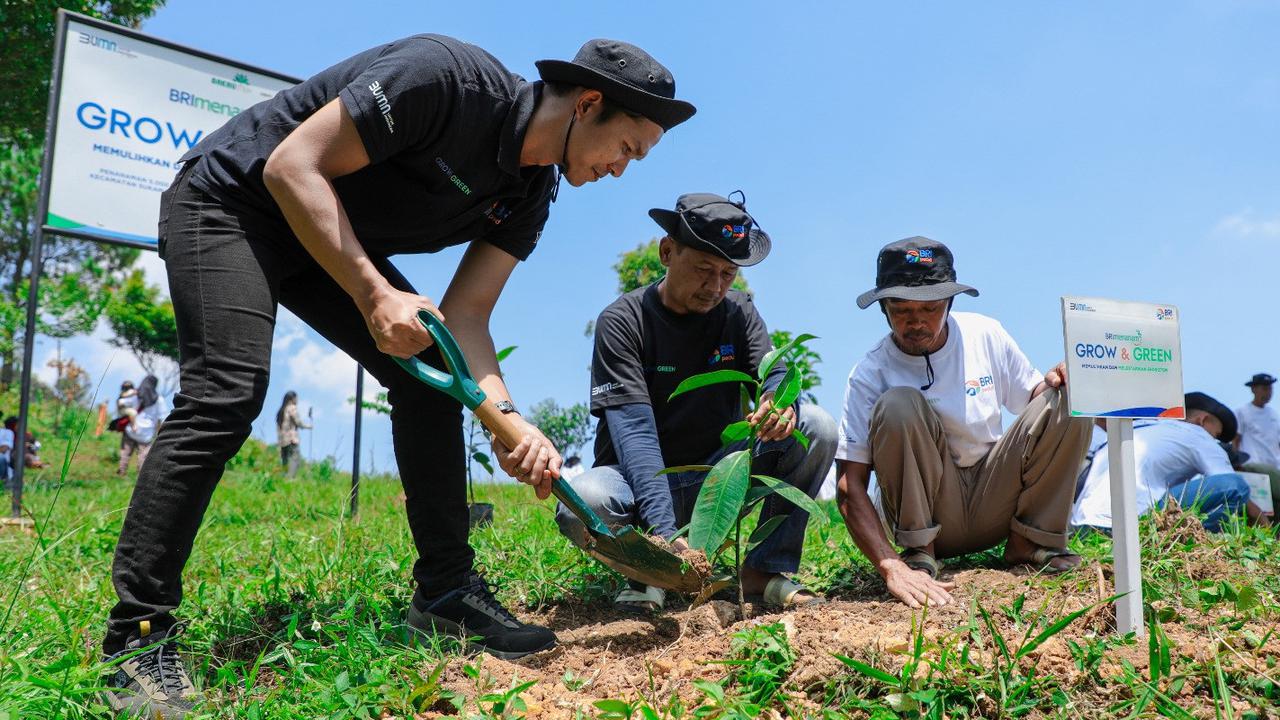 FOTO: Memulihkan Hutan, Aksi Nyata Kelompok Tani Mantan Penambang Melalui BRImenanam Grow & Green