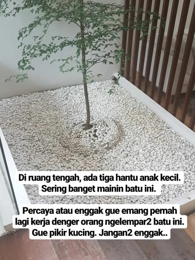 [Bintang] Raditya Dika