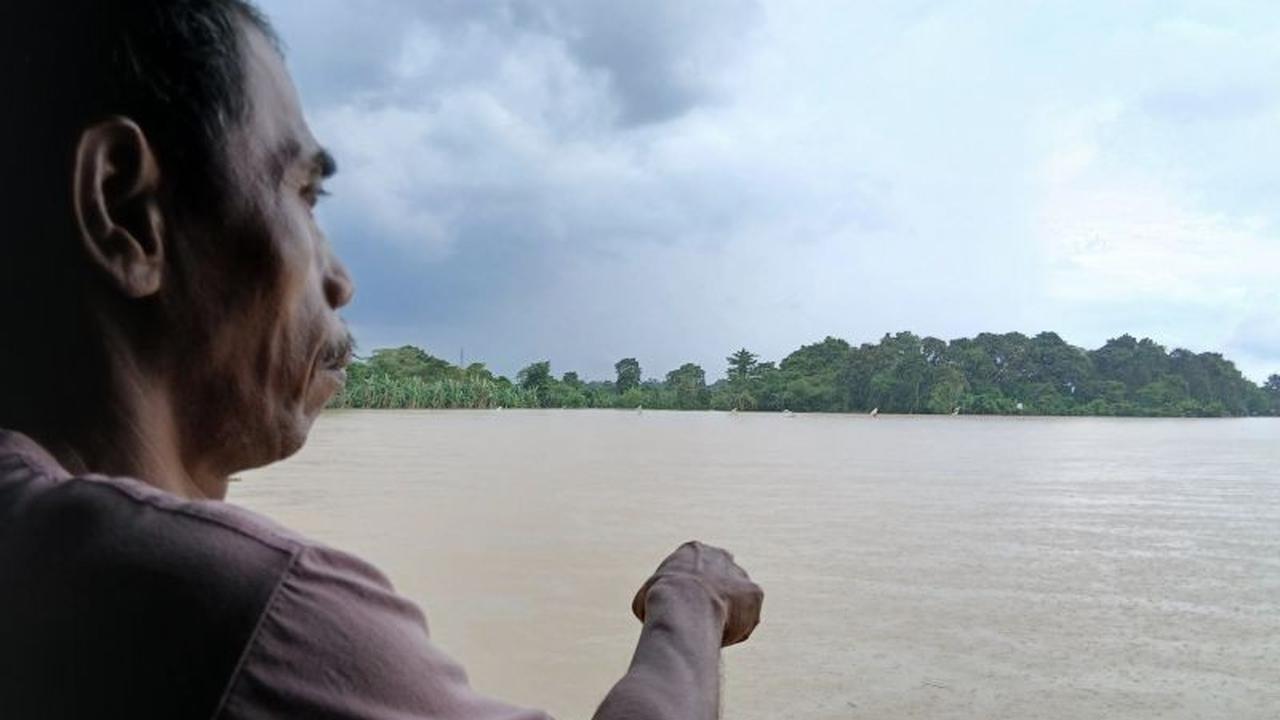 Ratusan Hektare Tanaman Padi Puso di Tangerang Akibat Banjir, Pemkab Siapkan Bantuan