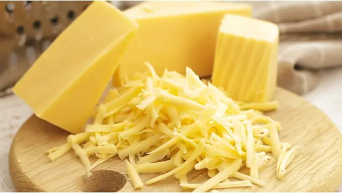 copyright by Shutterstock.com