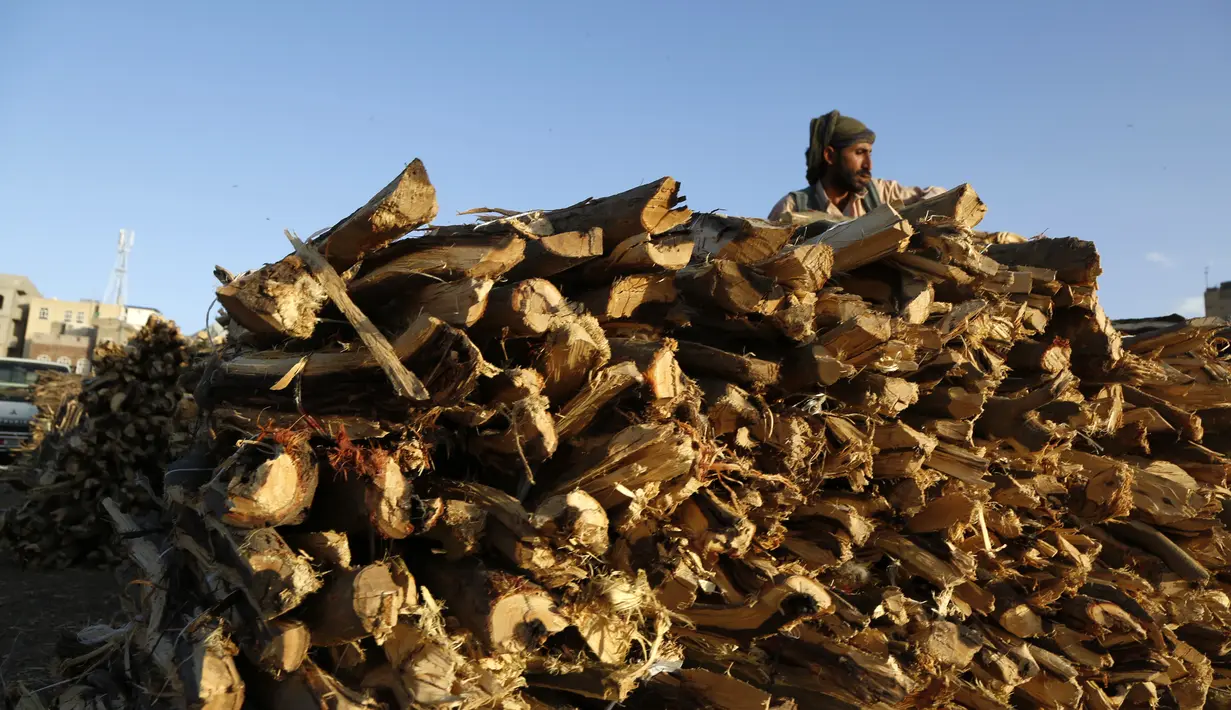Seorang pedagang menata tumpukan kayu untuk dijual di sebuah pasar di Sanaa, Yaman, pada 5 November 2020. Penduduk Yaman beralih menggunakan kayu untuk memasak karena kekurangan pasokan bahan bakar. (Xinhua/Mohammed Mohammed)