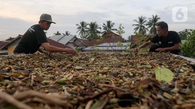 Gandeng Pemuda Lokal, Kilang Pertamina Plaju Olah Eceng Gondok Jadi Produk Bernilai Ekonomi