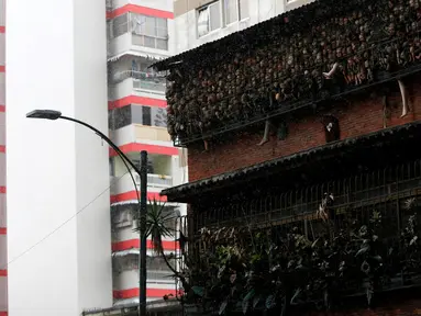 Pemandangan balkon rumah seorang kolektor bernama Etanis Gonzalez, yang dipenuhi ratusan boneka seram dan menakutkan, di Caracas, Venezuela, 16 Juli 2016. (REUTERS/Carlos JASSO)