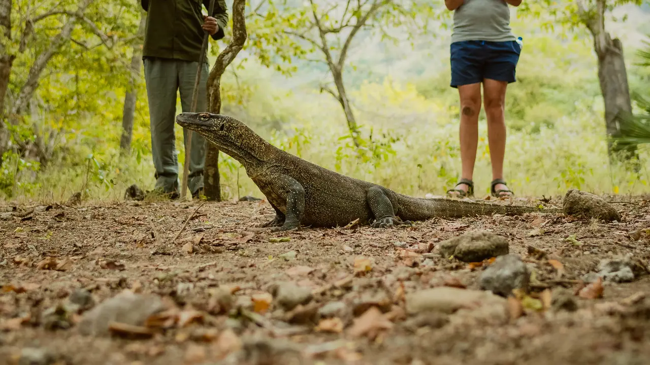 Taman Nasional Komodo