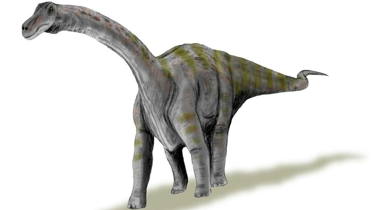 8 Titanosaurus Terbesar: Mengungkap Rahasia Raksasa Zaman Kapur