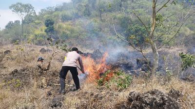 Hutan Konservasi dan Lahan Warga di Kintamani Terbakar