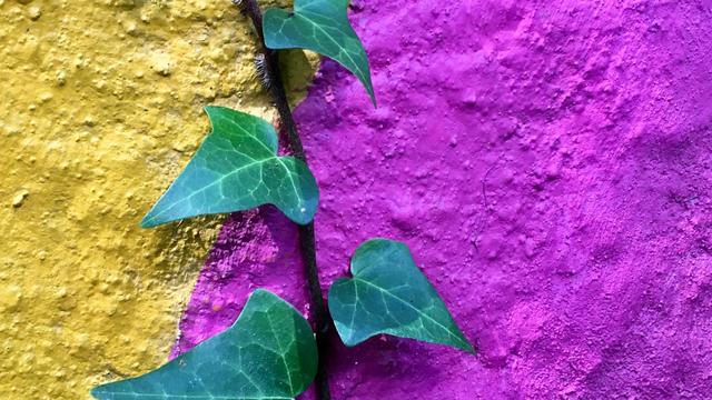 Ilustrasi ketahanan, inspirasi