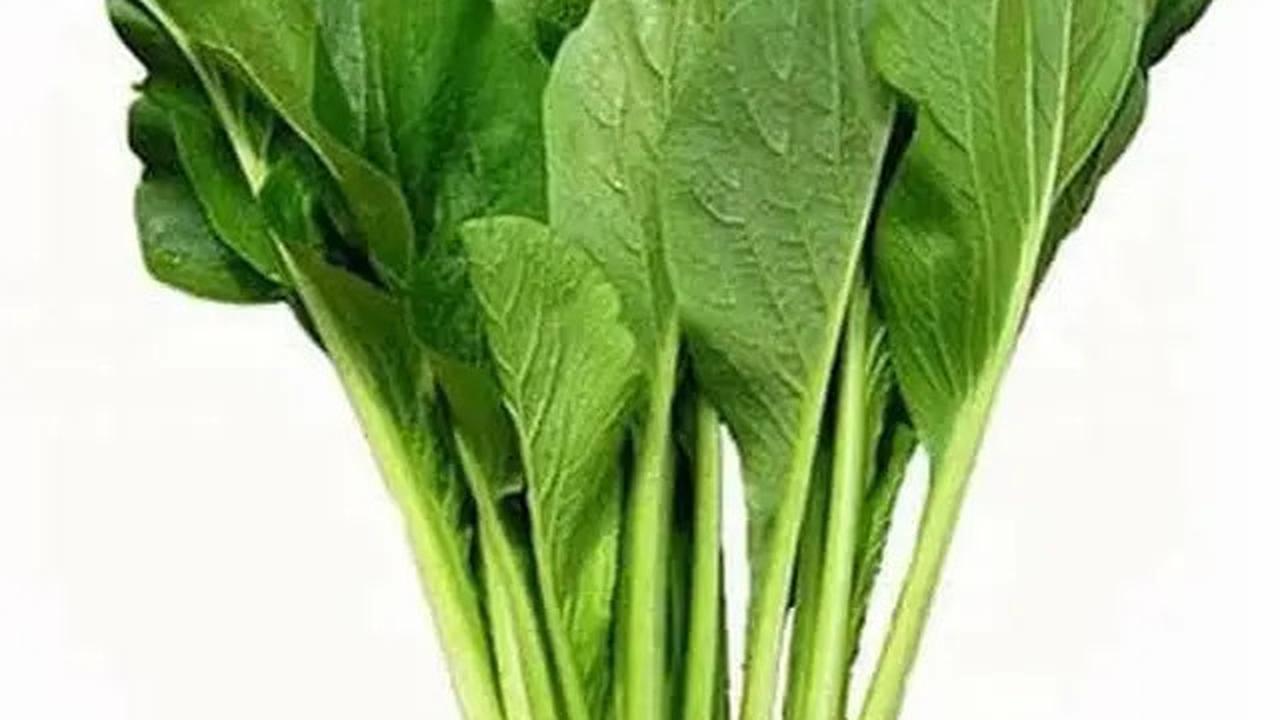 Resep Cah Sawi Hijau Sehat untuk Pasien Kolesterol dan Asam Urat