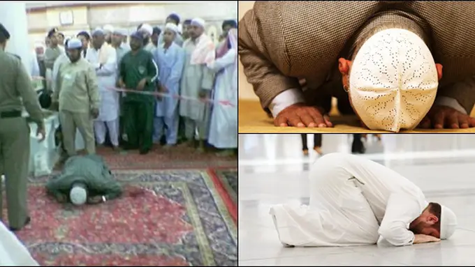 (c) wordpress.com, shutterstock.com