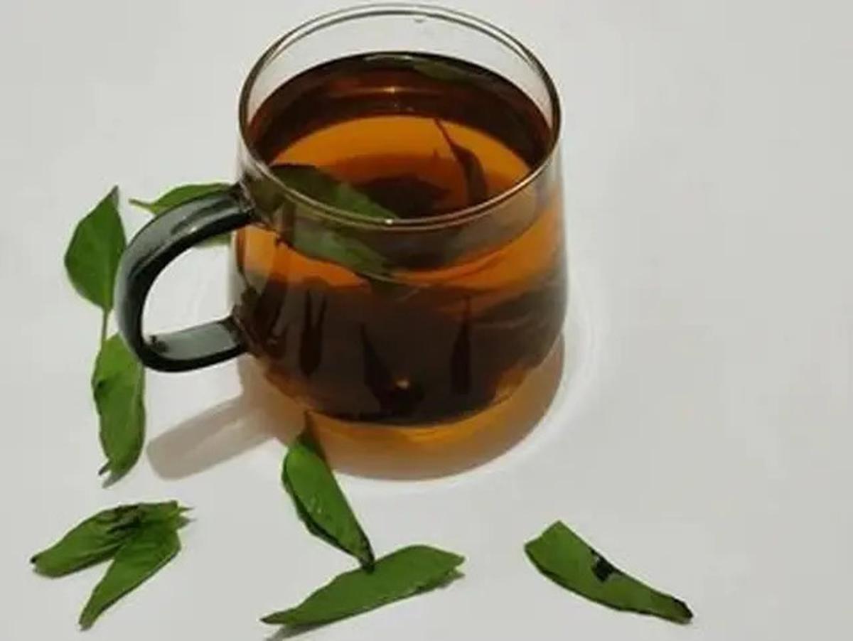 Manfaat Daun Kemangi, Minuman Sederhana untuk Atasi Bau Mulut hingga Nyeri Sendi