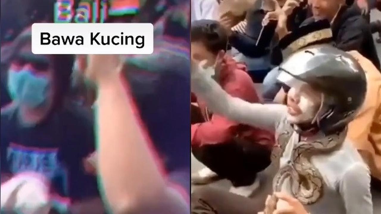 Mahasiswa Bawa Hewan Saat Demo Omnibus Law, Warganet : Itu Mau Demo Apa Ternak