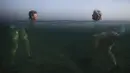 Pengunjung saat berenang di laut Havana, (28/4/2015). Badan dan kepala dari dua orang ini tampak ditempat yang berbeda. (REUTERS/Alexandre Meneghini)