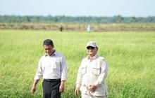 Presiden Prabowo: Indonesia Sudah Swasembada Pangan Tahun 2025
