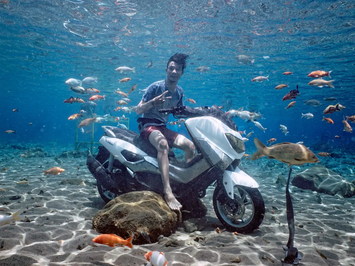 Mimpi Melihat Ikan Banyak Menurut Islam, Benarkah Pertanda Baik