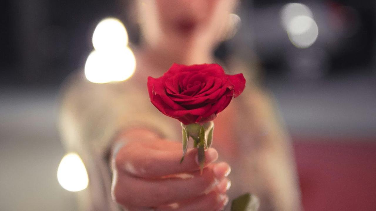Kata-kata Ucapan Selamat Hari Perempuan Internasional, Menyentuh Hati