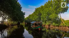 Perahu nelayan membawa wisatawan melewati kawasan mangrove Sunge Jingkem di Kp. Sembilangan, Tarumajaya, Kabupaten Bekasi, Sabtu (13/4/2024). (merdeka.com/Arie Basuki)