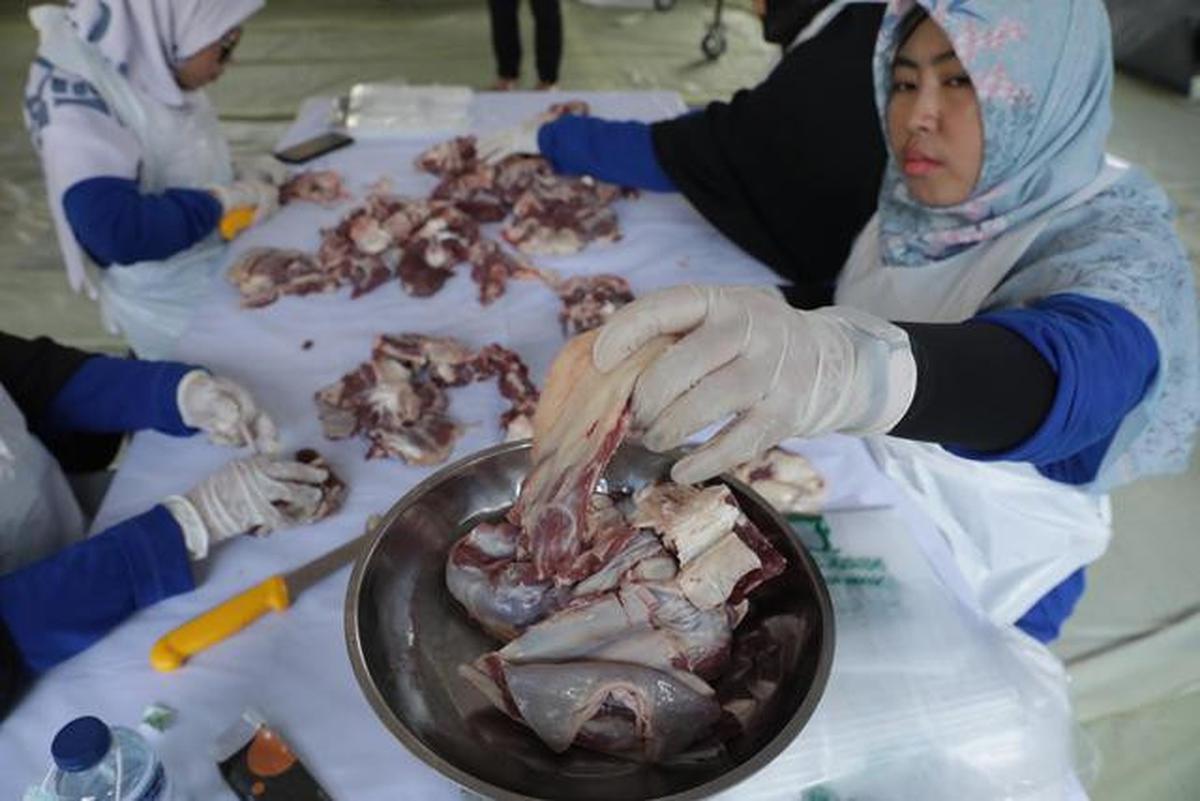 Batas Waktu Aman Simpan Daging Kurban Tanpa Freezer, Panduan Agar Tetap Layak Konsumsi