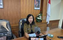 Penurunan Kasus DBD Bali: Dinkes Catat Angka Menurun Drastis di 2025
