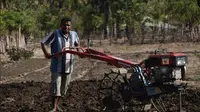 BBM Satu Harga Bikin Panen Petani Bawang Naik 6 Kali Lipat