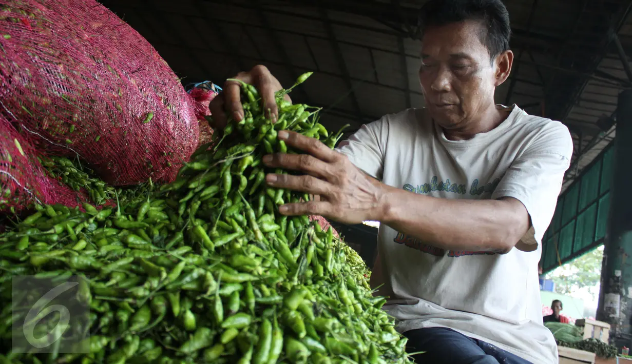 Pedagang menata cabai dagangannya di Pasar Induk Kramat Jati, Jakarta, Sabtu (15/8/2015). Perum Bulog menggelar operasi pasar untuk menekan kenaikan harga cabai yang mencapai Rp 70.000/kg. (Liputan6.com/Gempur M Surya)