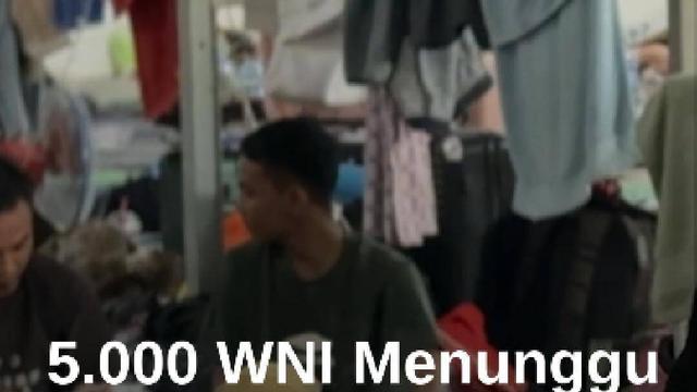 Video Ribuan WNI Eks Pekerja Penipuan Daring di Kamboja Menunggu Pemulangan #Merdekadotcom #mdkdw26 17 Mar 2026