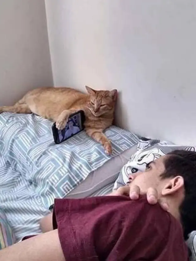 7 Potret Tingkah Kocak Kucing Membantu Manusia, Bikin Gemes
