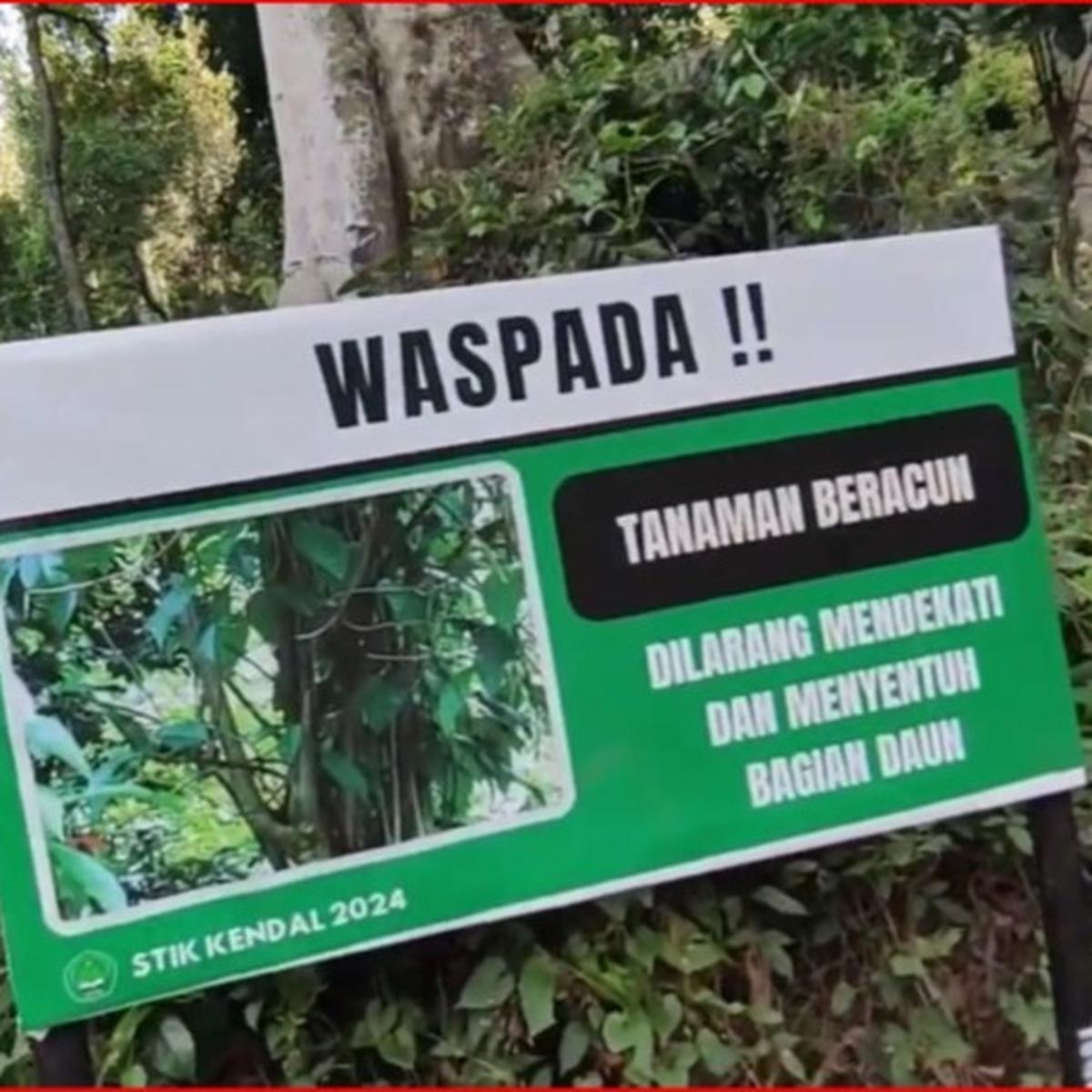 Curug Telu Kalices