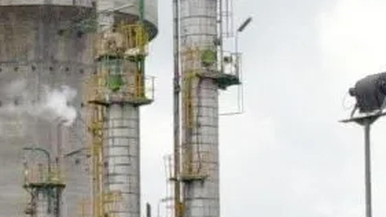 Pupuk Indonesia Gandeng Perusahaan Arab Saudi Kembangkan Green Ammonia di Gresik