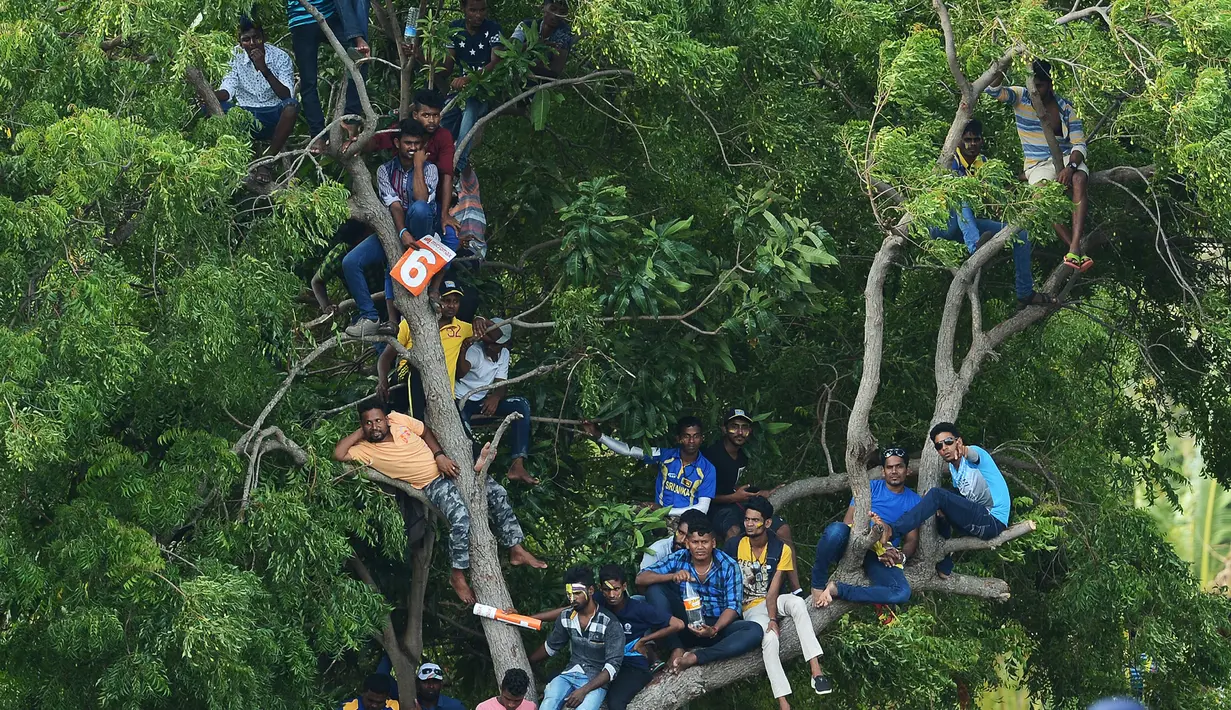 Suporter kriket Sri Lanka menonton pertandingan kriket One Day International (ODI) pertama antara Sri Lanka dan India dari atas sebuah pohon di Stadion Kriket Internasional Rangiri Dambulla di Dambulla (20/8). (AFP Photo/Lakruwan Wanniarachchi)