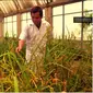 Totok Agung Dwi Haryanto, peneliti Indonesia yang berhasil temukan benih padi gogo unggul (Sumber: Istimewa)