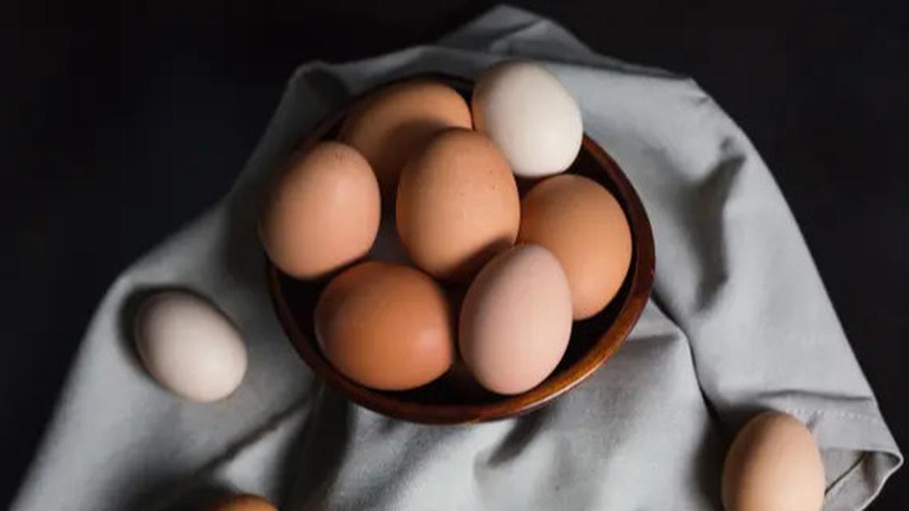 Bolehkah Bayi Makan Telur Setiap Hari? Ketahui Juga Sumber Protein Sehat dan Murah untuk MPASI Bayi sebagai Alternatif Lain