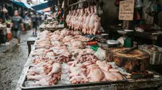 Tanda Ayam Mentah Sudah Tidak Layak Dikonsumsi yang Perlu Dikenali, Jangan Terkecoh Tampilan Segar