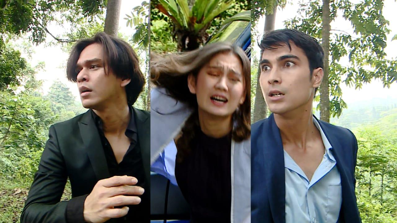 Buku Harian Seorang Istri