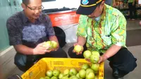 Seperti yang terpantau di Rumah Buah Alam Sutera, Serpong, terlihat apel berwarna hijau jenis Granny Smith masih terpajang