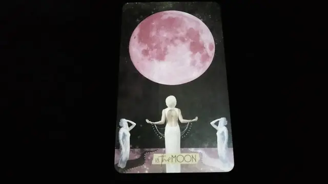 Tarot