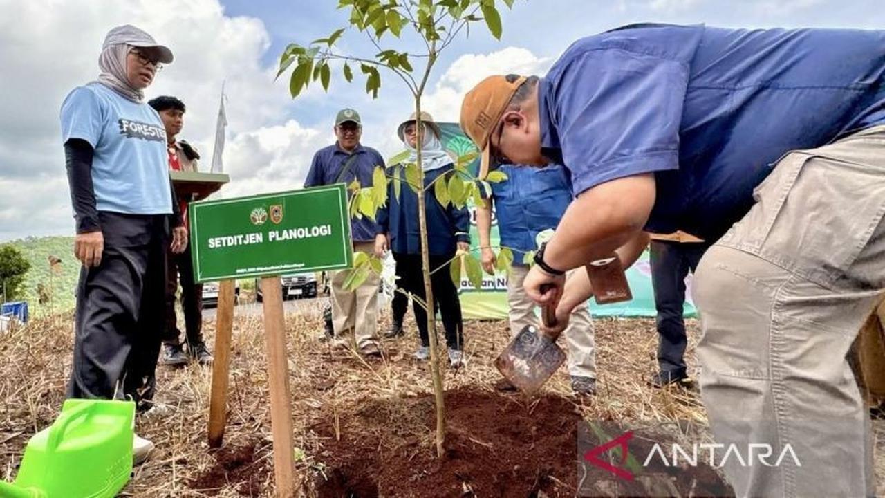 Kemenhut Sukses Tanam 1,3 Juta Bibit Pohon, Targetkan Pemulihan Lingkungan Nasional