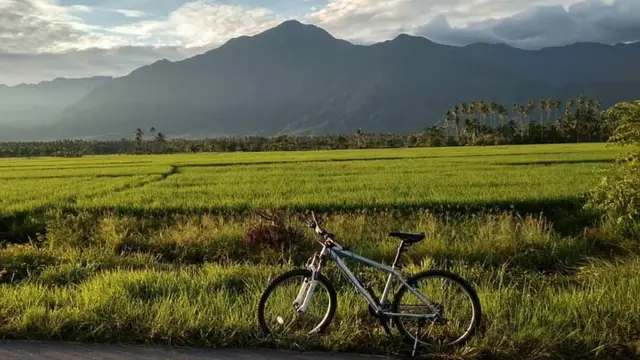 Gunung Sojol dari kejauhan terlihat hijau