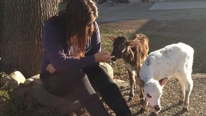 copyright facebook/Dustin Pillard