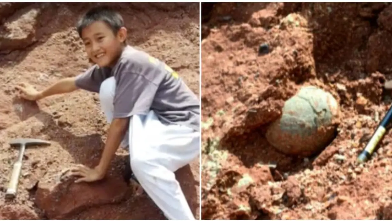 Asyik Main Tanah, Bocah Malah Temukan Telur Dinosaurus