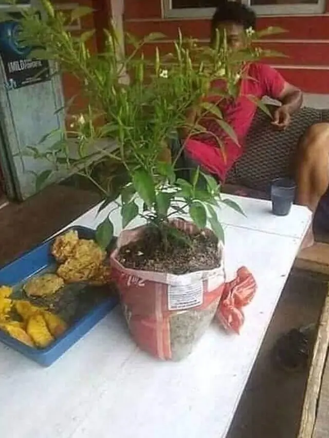 life hack unik (foto: berbagai sumber)
