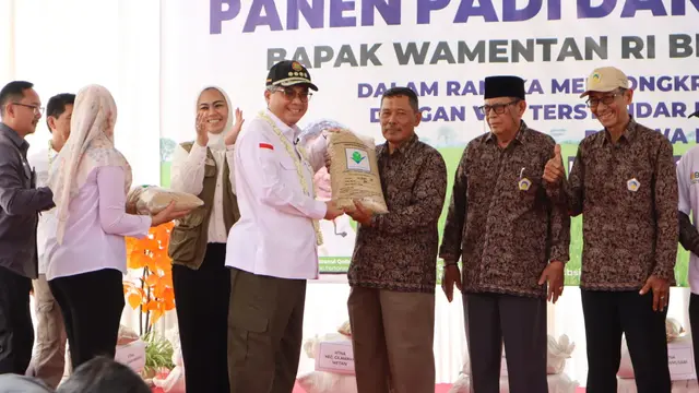 Genjot Produktivitas Pertanian, Wamentan Harvick Panen Padi Varietas Unggul di Karawang