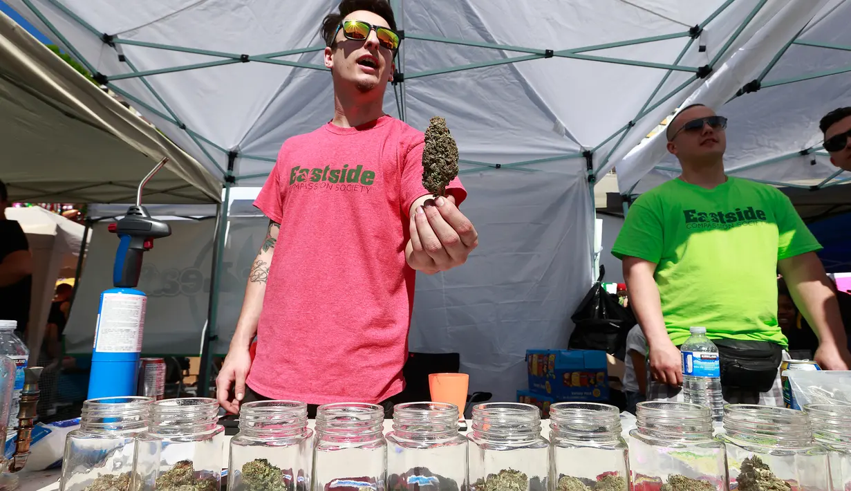 Penjual memperlihatkan ganja saat ribuan orang berkumpul dalam aksi legalisasi ganja 4/20 di Vancouver, Kanada (20/4). Ribuan orang hadir dalam aksi legalisai ganja dan bebas menghisap ganja dalam aksi tersebut. (AFP/Jeff Vinnick)