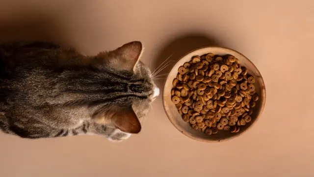 Eating