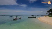Selain wisata pantainya, Pantai Derawan juga memiliki pesona bawah air yang berisi terumbu karang dan biota air yang cukup eksotis (Liputan6.com/ Herman Zakharia).