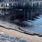 Limbah hitam mencemari perairan laut di Kampung Melayu, Kelurahan Batu Besar, Kecamatan Nongsa, Kota Batam, Kepulauan Riau (Kepri). (Liputan6.com/ Ajang Nurdin)