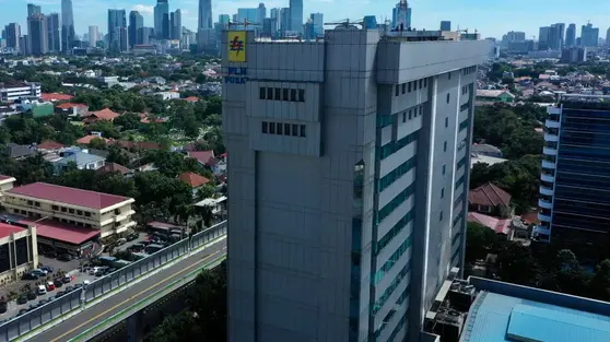Danantara Mau Ubah Model Bisnis PLN