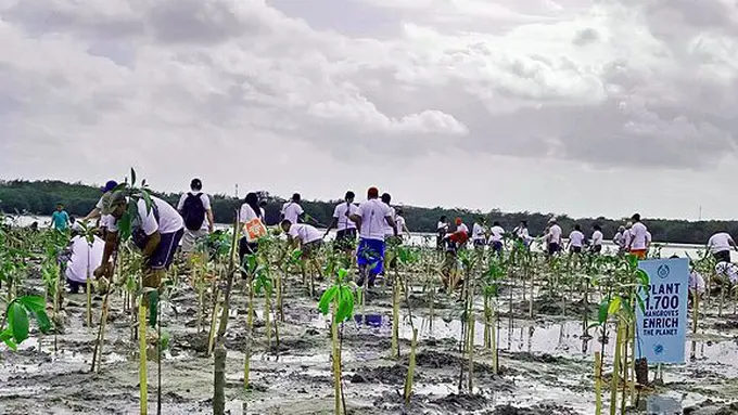 Tanam 1700 mangroves bareng The Body Shop Indonesia/Copyright Vemale.com