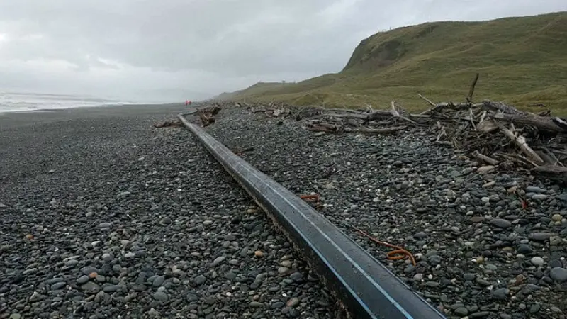 Benda 'misterius' sepanjang 100 meter yang ditemukan di pantai Selandia Baru