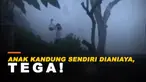 ANAK DIANIAYA